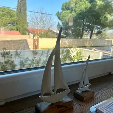 Pinia فيلة *
